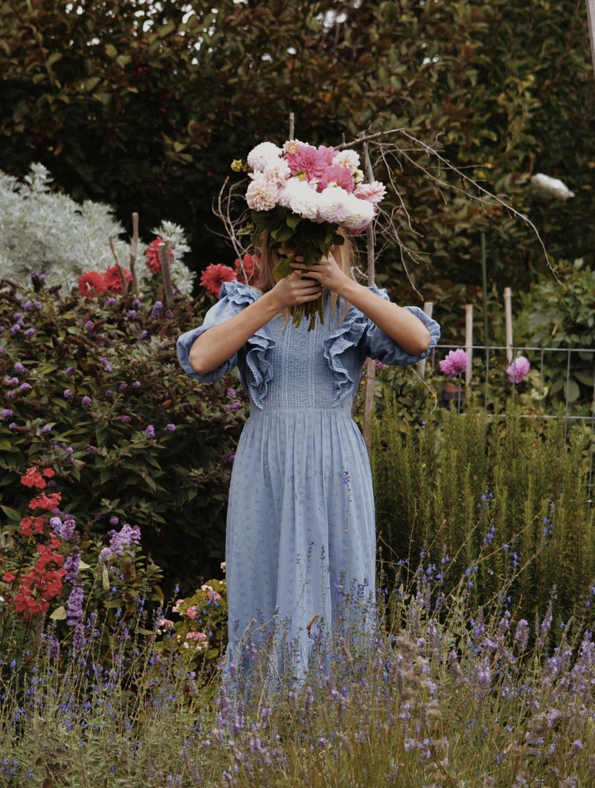 BRAMWELL DRESS DUSTY BLUE COTTON LACE