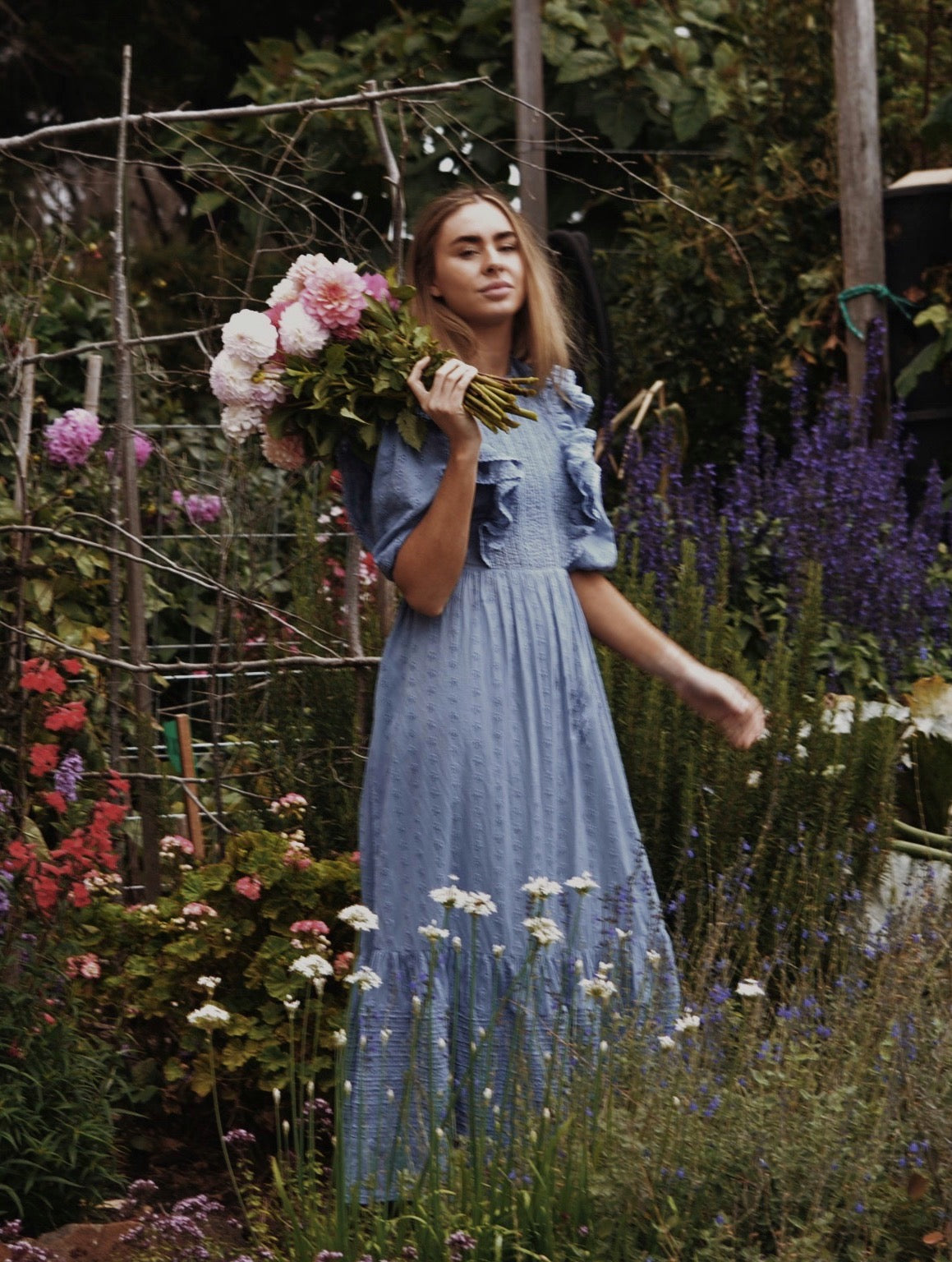 BRAMWELL DRESS DUSTY BLUE COTTON LACE