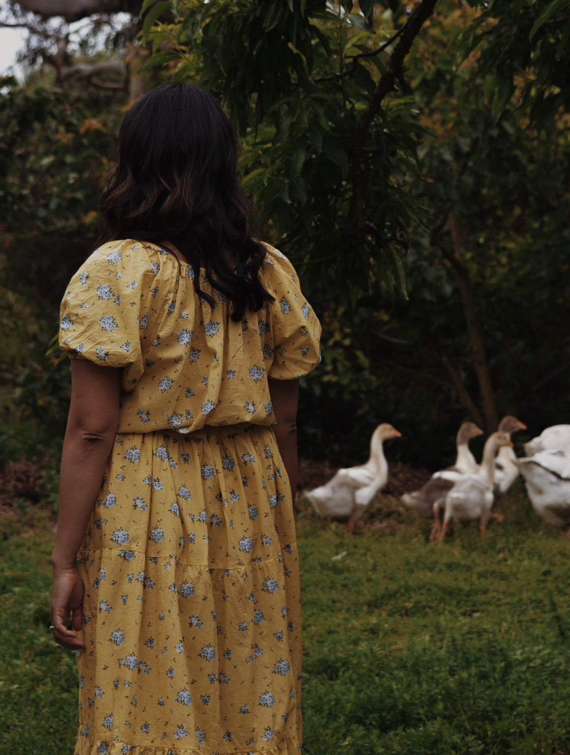 100% RECYCLED COTTON - DELPHINIUM MAXI DRESS LEMON FLORAL